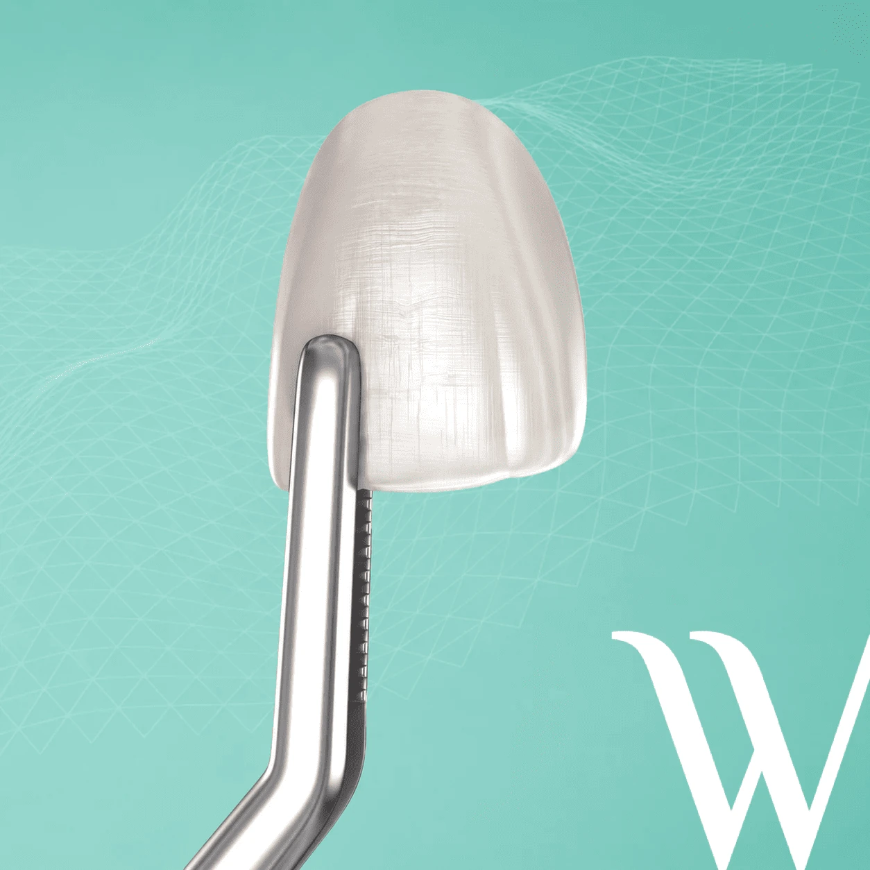 Faccetta dentale Weneers in vetroceramica ibrida · tecnologia pellicolare biomimetica